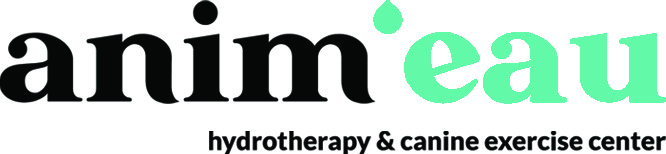 Animeau – Hydrotherapy and canine exercise center